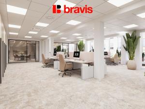 Pronájem kanceláře, Brno, Masarykova, 506 m2