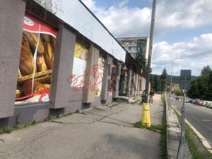 Prodej obchodního prostoru, Jablonec nad Nisou - Jablonecké Paseky, 5000 m2