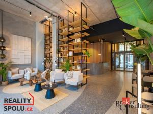 Pronájem bytu 2+kk, Brno - Zábrdovice, Bratislavská, 42 m2