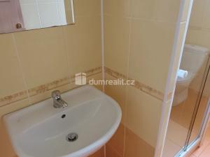 Pronájem bytu 1+1, Děčín - Děčín X-Bělá, Saská, 44 m2