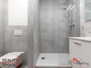 Pronájem bytu 2+kk, Ostrava - Poruba, Svojsíkova, 41 m2