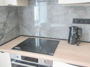 Pronájem bytu 2+1, Znojmo, Hálkova, 64 m2