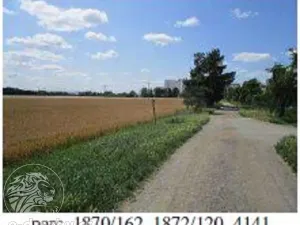 Dražba pole, Brno, 7587 m2