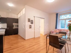 Pronájem bytu 2+kk, Praha, Mánesova, 55 m2