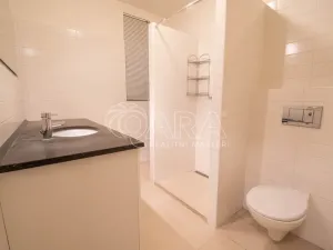 Pronájem bytu 2+kk, Praha, Mánesova, 55 m2