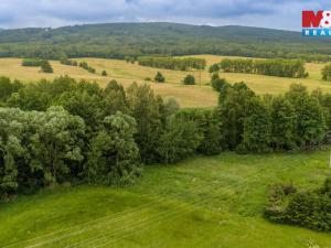 Prodej louky, Dětřichov, 4178 m2