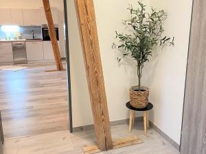 Pronájem bytu 3+1, Borovany - Trocnov, 70 m2