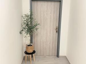 Pronájem bytu 3+1, Borovany - Trocnov, 70 m2