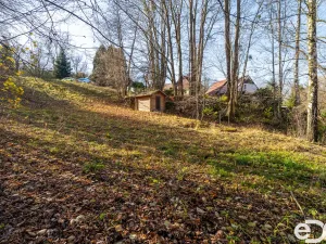 Prodej pozemku pro bydlení, Budislav, 2081 m2