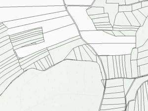 Dražba lesa, Blížejov, 16569 m2