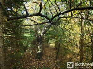 Prodej zahrady, Brno, Jámy, 2116 m2