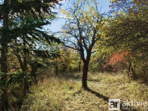 Prodej zahrady, Brno, Jámy, 2116 m2