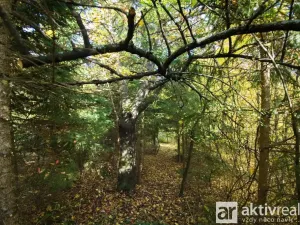 Prodej zahrady, Brno, Jámy, 2116 m2