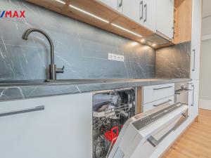 Pronájem bytu 1+kk, Praha - Žižkov, Olgy Havlové, 32 m2