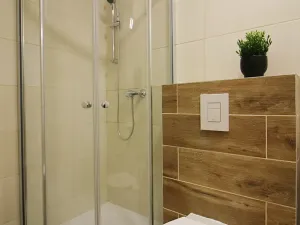 Prodej bytu 1+1, Brno, Francouzská, 36 m2