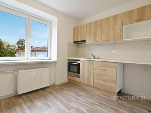 Pronájem bytu 1+1, Most, Antonína Dvořáka, 29 m2