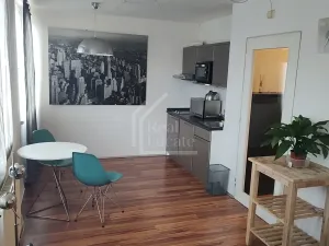 Prodej bytu 1+kk, Praha - Karlín, Molákova, 36 m2