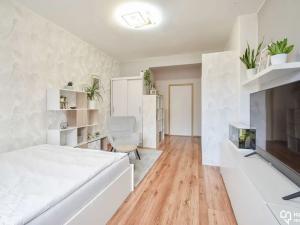 Pronájem bytu 3+1, Olomouc, Dvořákova, 63 m2