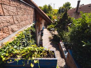 Prodej rodinného domu, Pohořelice, 113 m2