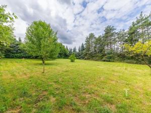 Prodej pozemku pro bydlení, Vranová, 1047 m2