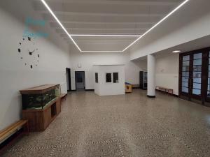 Pronájem kanceláře, Brno, Srbská, 45 m2