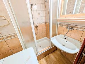 Pronájem bytu 1+1, Mladá Boleslav, U stadionu, 45 m2