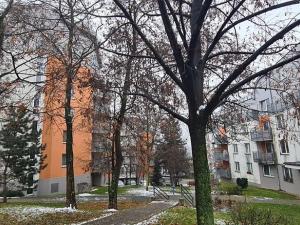 Pronájem bytu 1+kk, Praha - Záběhlice, Ve slatinách, 45 m2