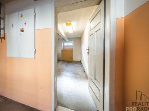 Prodej bytu 2+kk, Bzenec, J. Wolkra, 56 m2