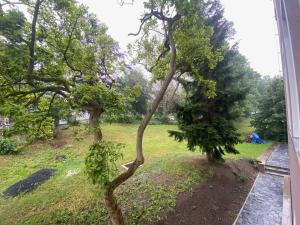 Pronájem bytu 1+kk, Ústí nad Labem - Střekov, Žukovova, 32 m2