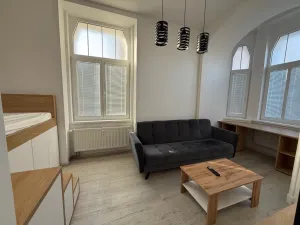 Pronájem bytu 1+kk, Ústí nad Labem - Střekov, Žukovova, 32 m2