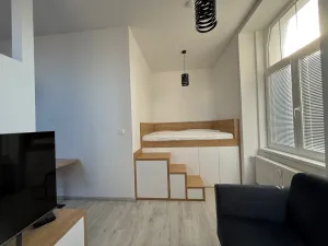 Pronájem bytu 1+kk, Ústí nad Labem - Střekov, Žukovova, 32 m2