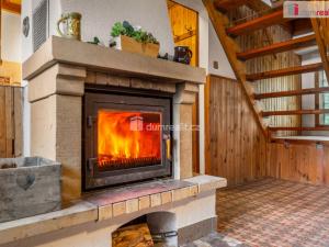 Prodej chaty, Třebušín - Řepčice, 100 m2