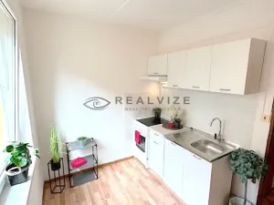 Pronájem bytu 1+1, České Budějovice, J. Bendy, 31 m2
