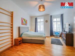 Prodej bytu 2+kk, Praha - Nové Město, Ve Smečkách, 89 m2