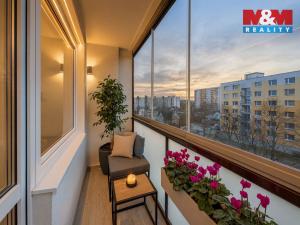 Prodej bytu 2+1, Hradec Králové - Nový Hradec Králové, Selicharova, 55 m2