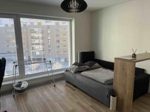 Pronájem bytu 1+kk, České Budějovice - České Budějovice 2, Volejbalistů, 28 m2