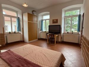 Pronájem atypického bytu, Strmilov - Česká Olešná, 100 m2