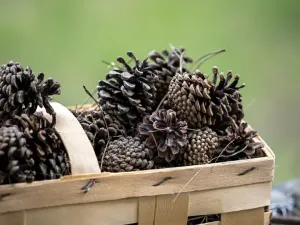 Prodej rodinného domu, Kladno, 28. října, 163 m2