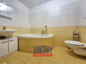 Pronájem bytu 2+kk, České Budějovice, Litvínovická, 50 m2