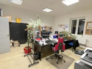 Pronájem obchodního prostoru, Jirny, Tovární, 537 m2