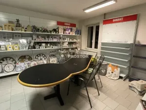 Pronájem obchodního prostoru, Jirny, Tovární, 537 m2