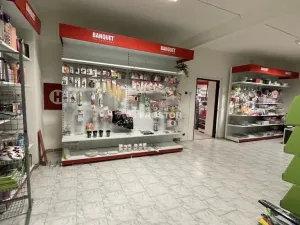 Pronájem obchodního prostoru, Jirny, Tovární, 506 m2