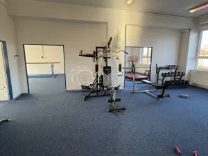 Pronájem skladu, Frenštát pod Radhoštěm, Martinská čtvrť, 482 m2