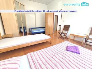 Pronájem bytu 2+1, Plzeň, Lindauerova, 55 m2