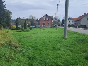 Prodej pozemku pro bydlení, Teplice nad Metují, 1014 m2