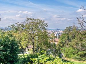 Prodej bytu 2+1, Brno - Židenice, Došlíkova, 48 m2