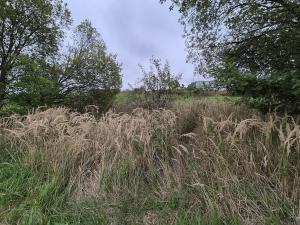 Prodej pozemku pro bydlení, Psáry, Jižní, 1297 m2