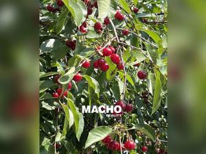 Prodej rodinného domu, Řitka, U vodojemu, 333 m2