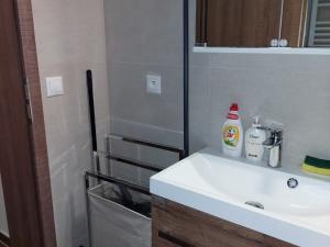 Pronájem bytu 1+kk, Jihlava, Vrchlického, 33 m2