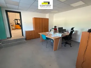 Pronájem skladu, Králův Dvůr - Počaply, Pod Dálnicí, 875 m2